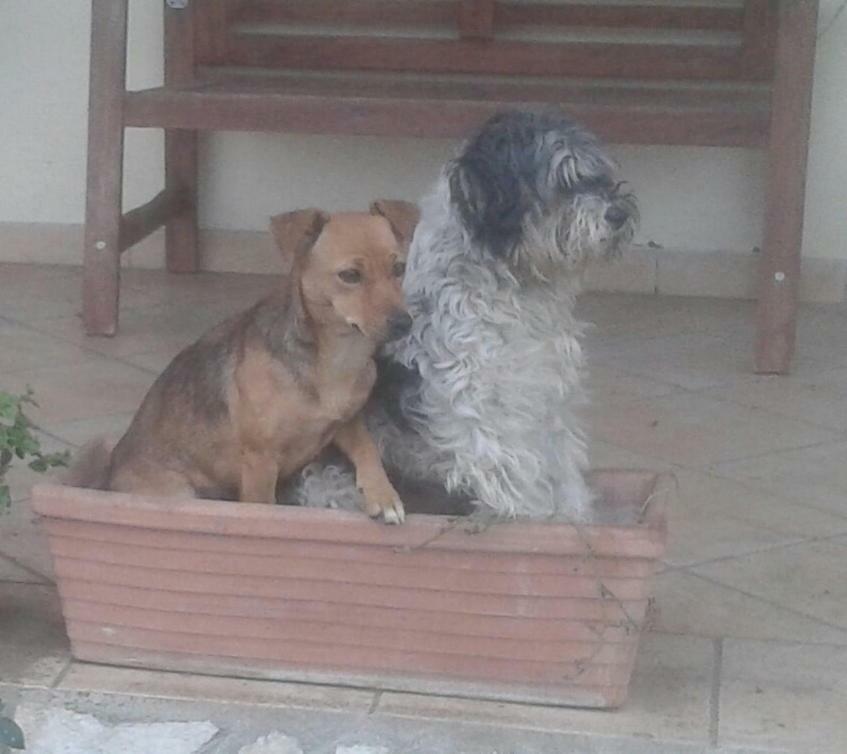 פורמלו B&B Rolu מראה חיצוני תמונה